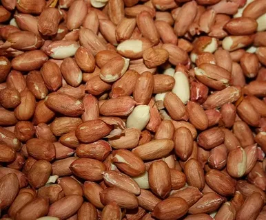 تصویر 1 از بهترین بادام زمینی خام + قیمت خرید عالی